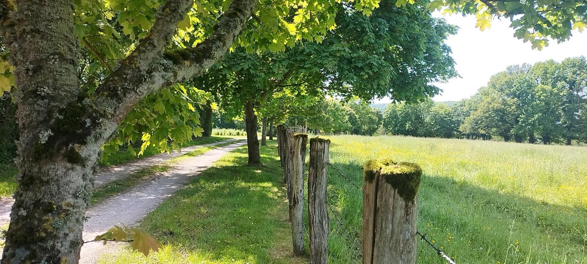 La Roulotte De Jane Séjour à la campagne